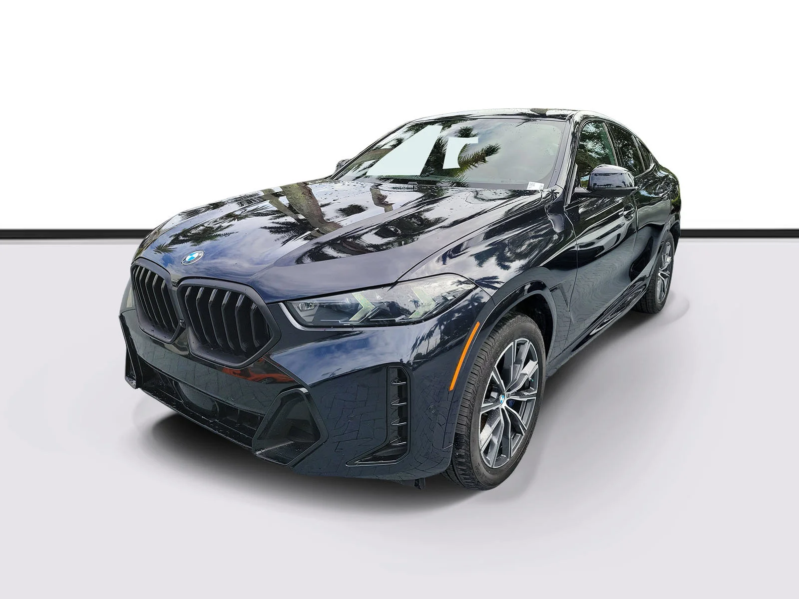 2024 BMW X6 2