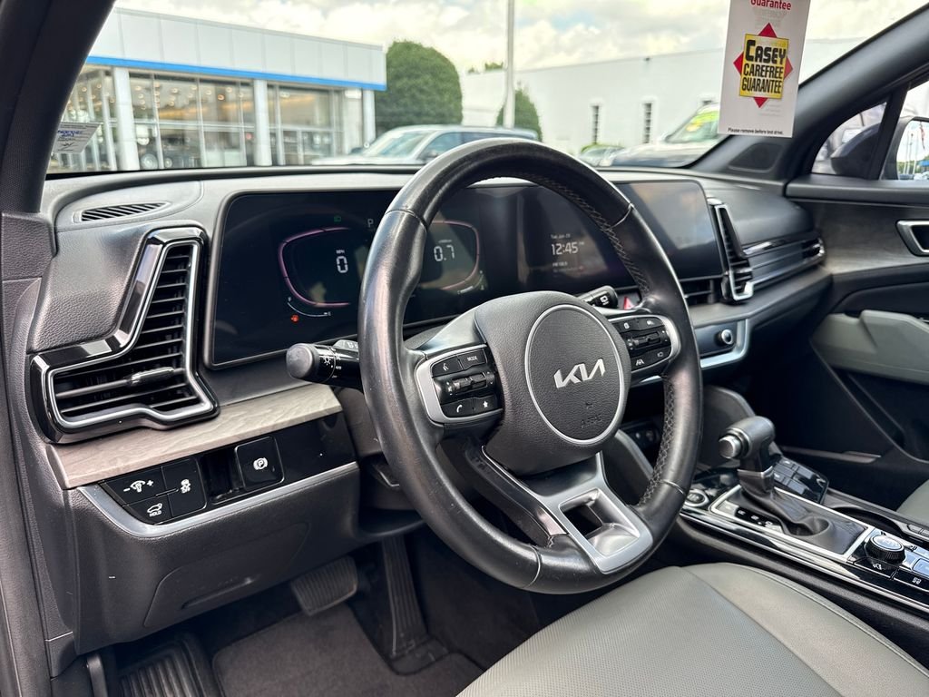 Used 2023 Black Kia X-Line image 13