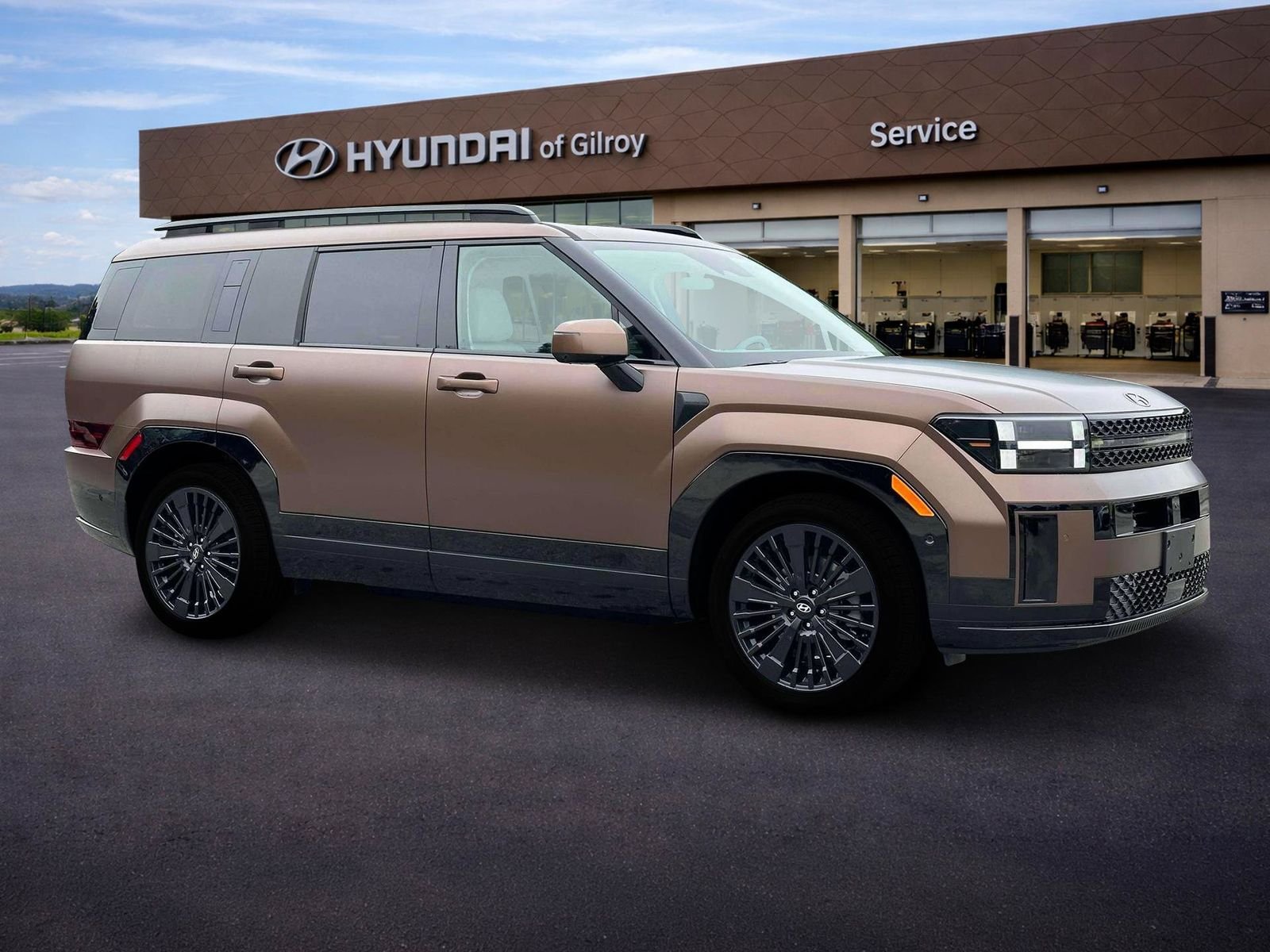 2025 Hyundai Santa Fe Calligraphy - Photo 29