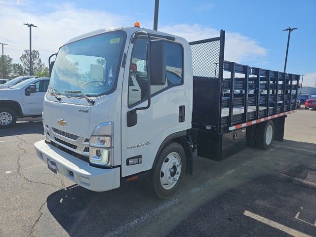 2024 Chevrolet Low Cab Forward