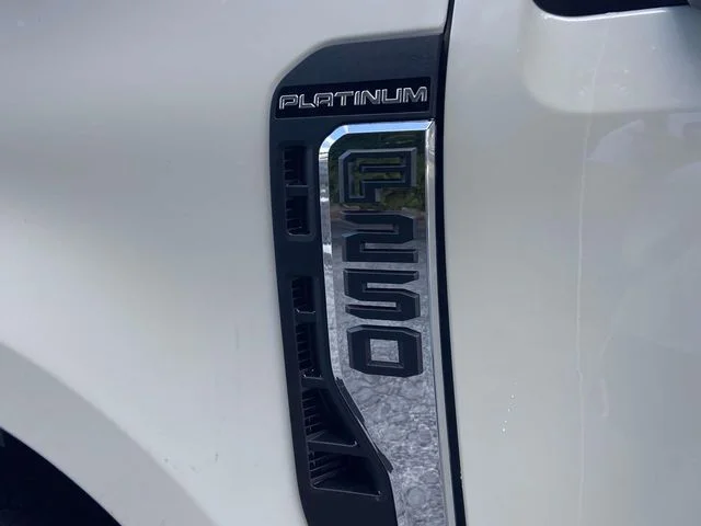 New 2026 White Ford Platinum image 6