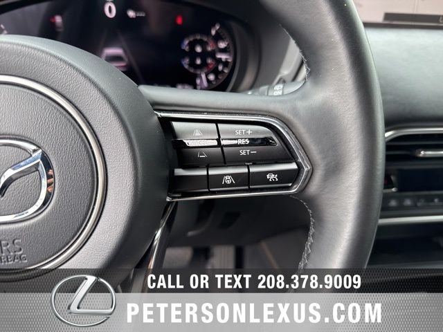 2025 Mazda CX-70 Premium Plus Package - Photo 28