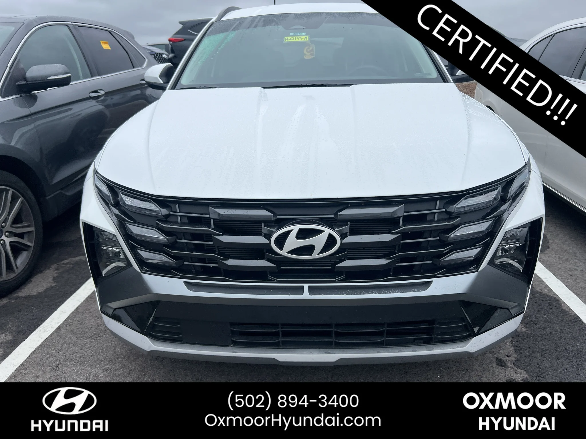 Used 2025 Serenity White Pearl Hyundai SEL image 2