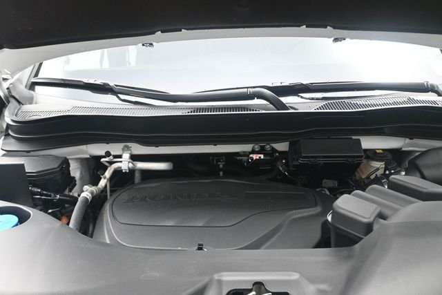 Used 2024  Honda Black Edition image 21