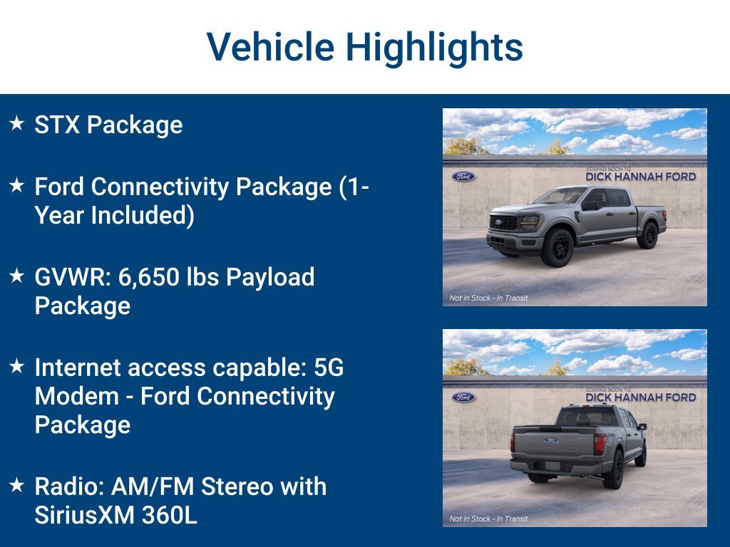 New 2026 Gray Ford STX image 3
