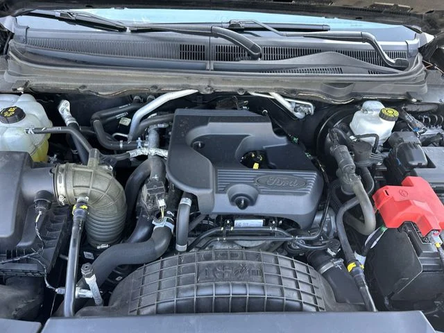 Used 2020 Black Ford XLT image 28