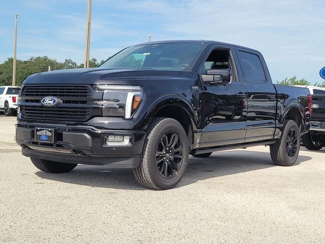 New 2026 Black Metallic Ford Platinum image 32