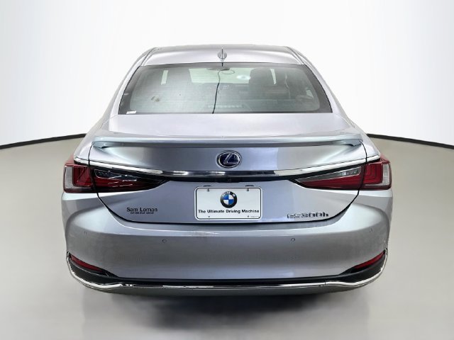Used 2022 Iridium Lexus 300h image 6