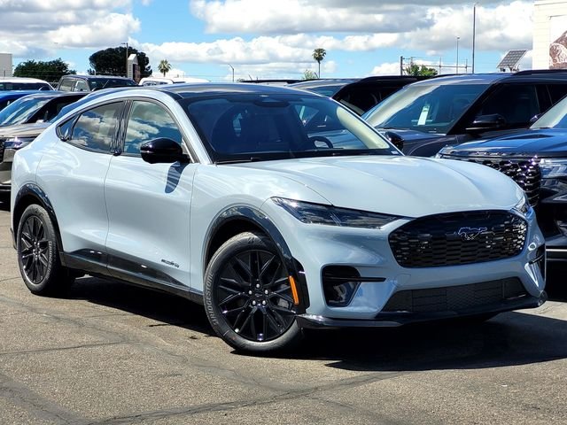 New 2026 Gray Ford Premium image 1
