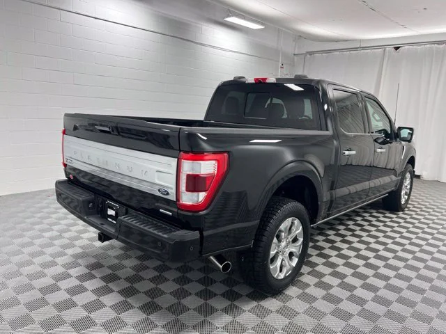 Used 2023 Black Ford Platinum image 5