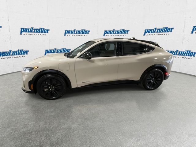 New 2026 Beige Ford Premium image 6