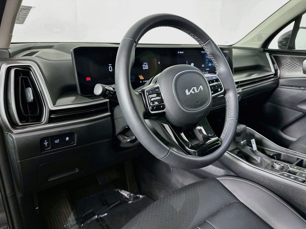 Used 2025 Panthera Metal Kia EX image 10