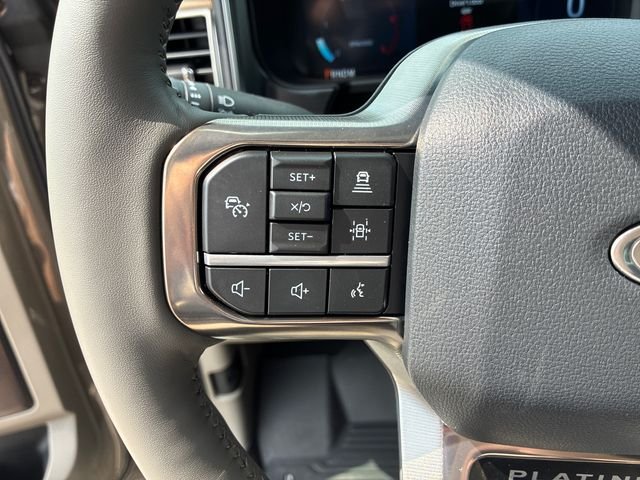 New 2026 Marsh Gray Ford F-250® Platinum® image 23