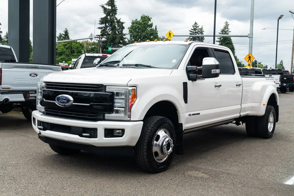 Used 2019 White Ford Platinum image 3