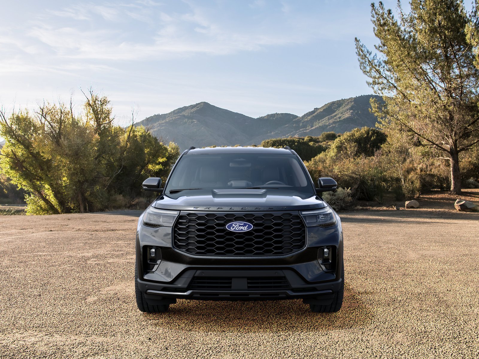 New 2027 Agate Black Metallic Ford ST-Line image 32