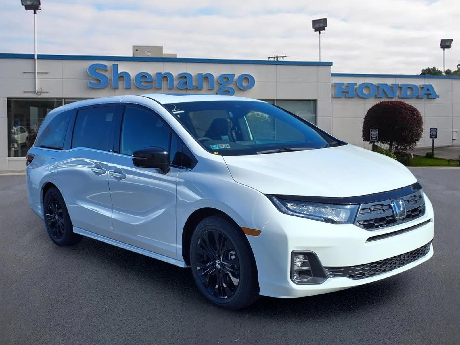 New 2026 Platinum White Pearl Honda Sport-L image 1
