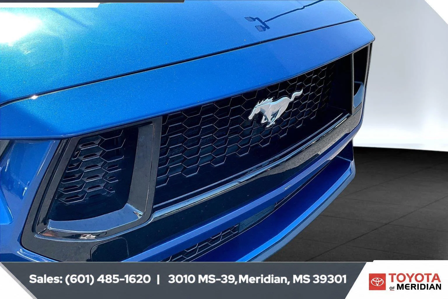 Used 2024 Atlas Blue Ford GT Premium image 21