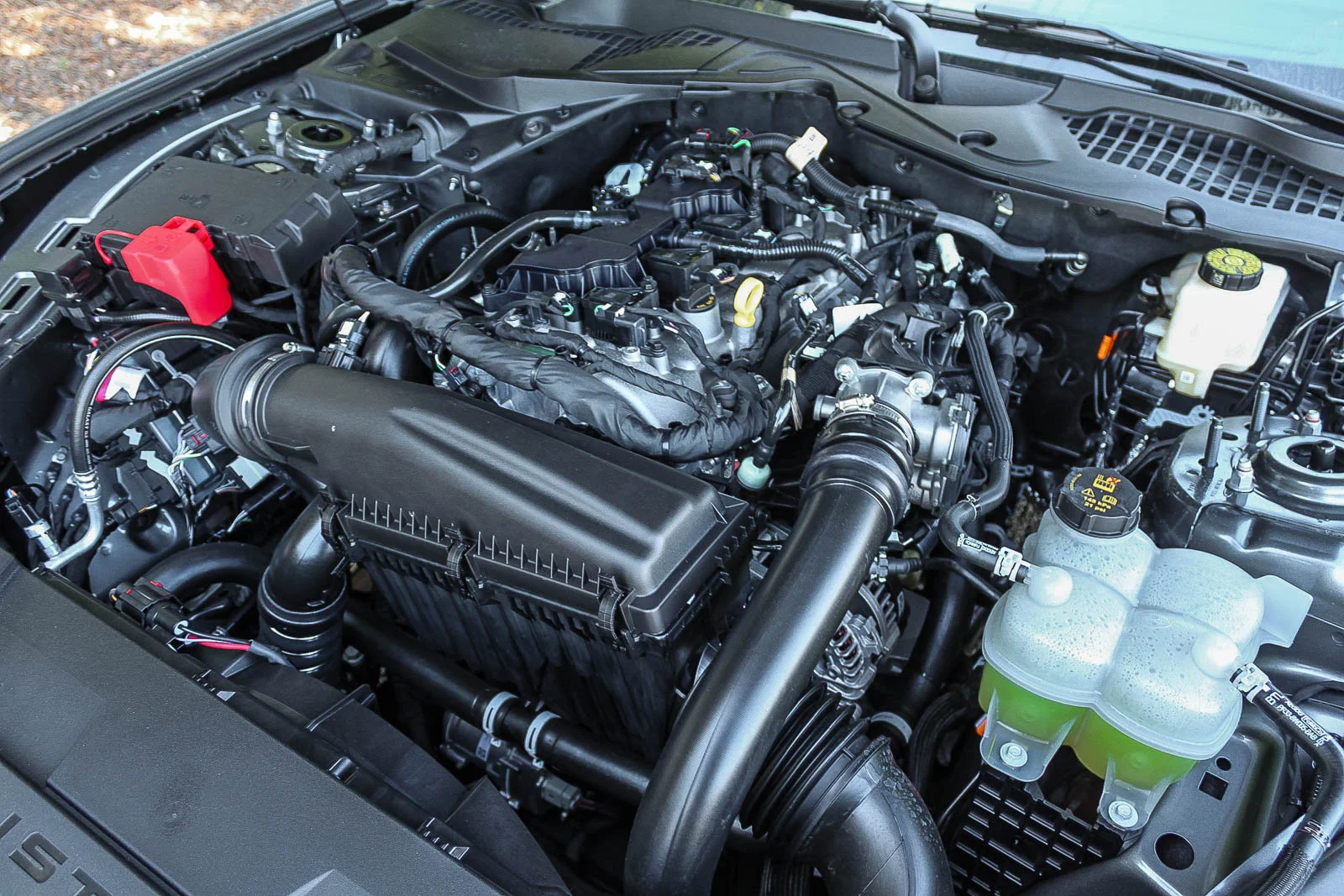New 2026 Carbonized Gray Metallic Ford EcoBoost® Fastback image 14