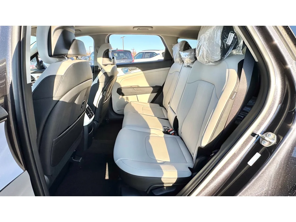 New 2026 Panthera Metal Gray Kia EX image 22