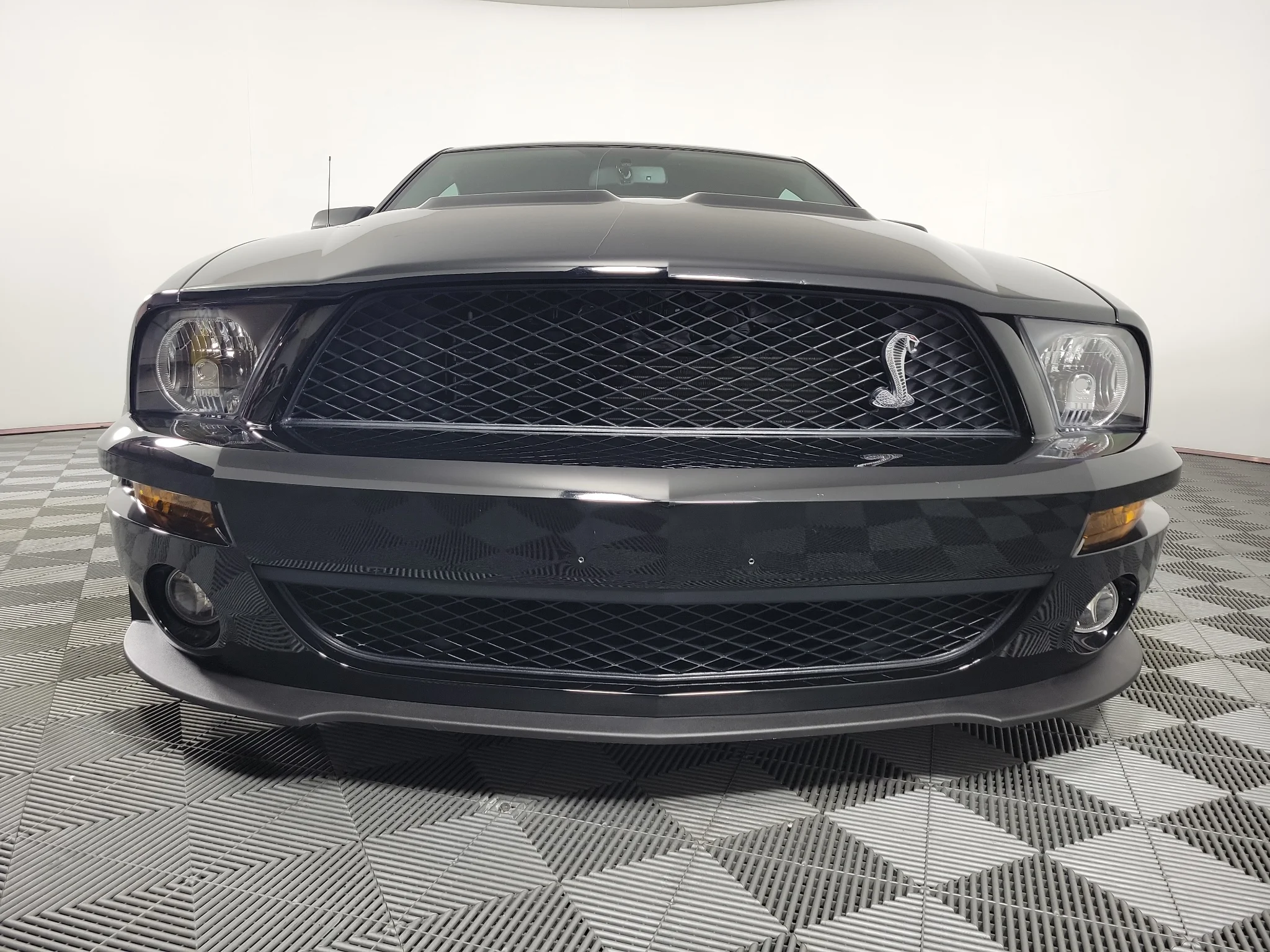 Used 2008 Ebony Clearcoat Ford Shelby GT500 image 4