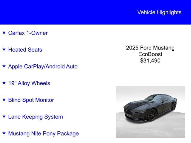 Used 2025 Shadow Black Ford EcoBoost image 2