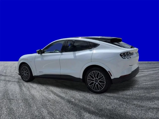 New 2026 Star White Metallic Tri-coat Ford Premium image 6