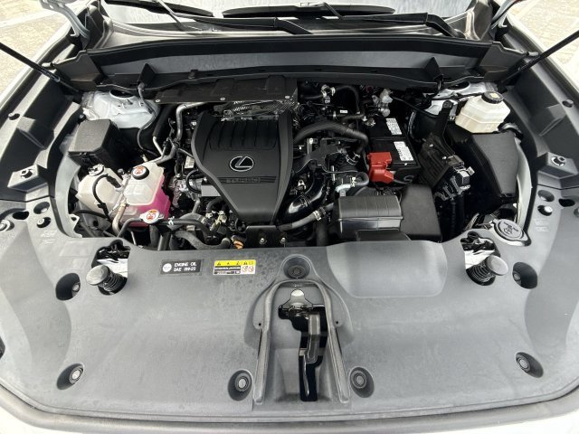 Photo 28