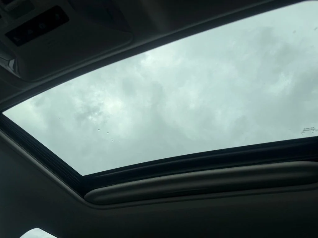 Used 2019 White Toyota XLE image 24