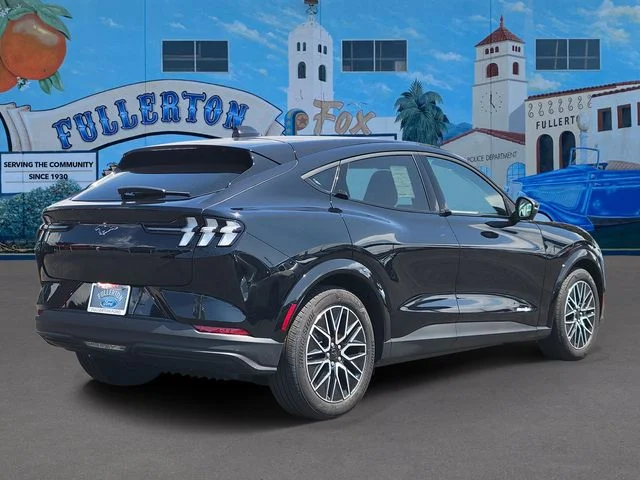 New 2026 Shadow Black Ford Premium image 4