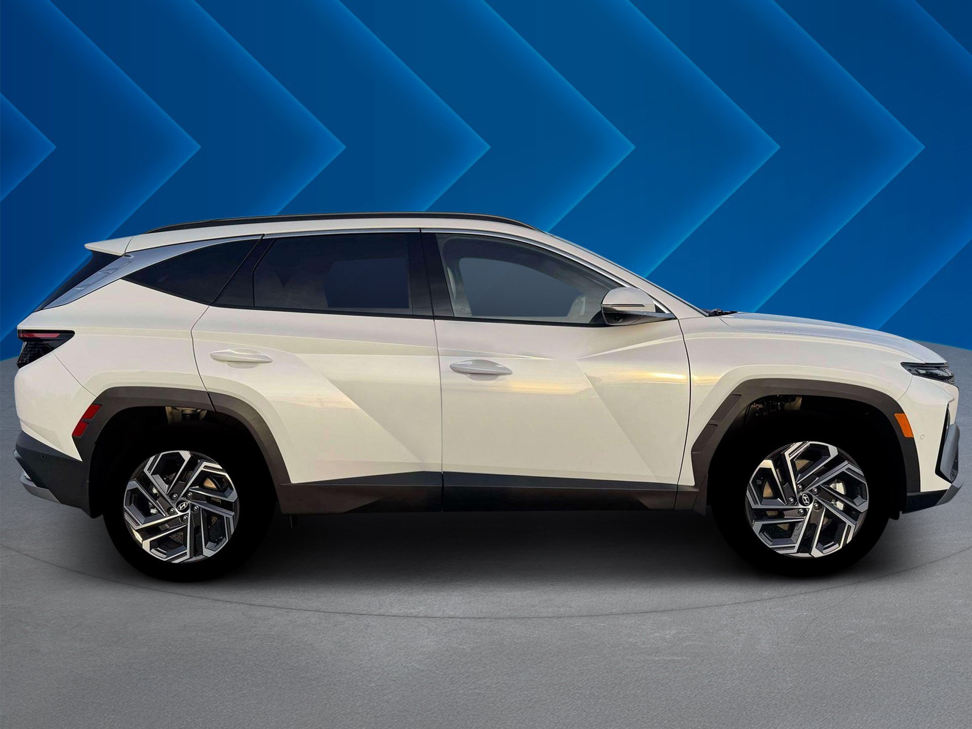 New 2026 Creamy White Pearl Hyundai Limited image 10