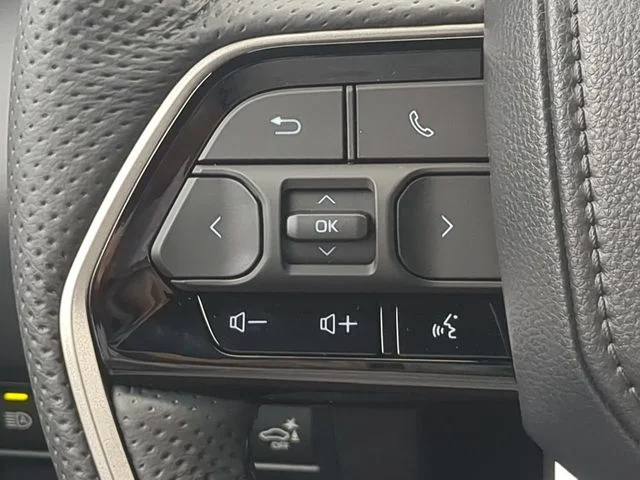 New 2026 Magnetic Gray Metallic Toyota Platinum image 25