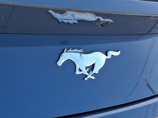 New 2026 Vapor Blue Metallic Ford EcoBoost® Premium Fastback image 40
