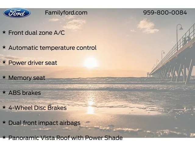 New 2027 Avalanche Gray Ford ST image 30