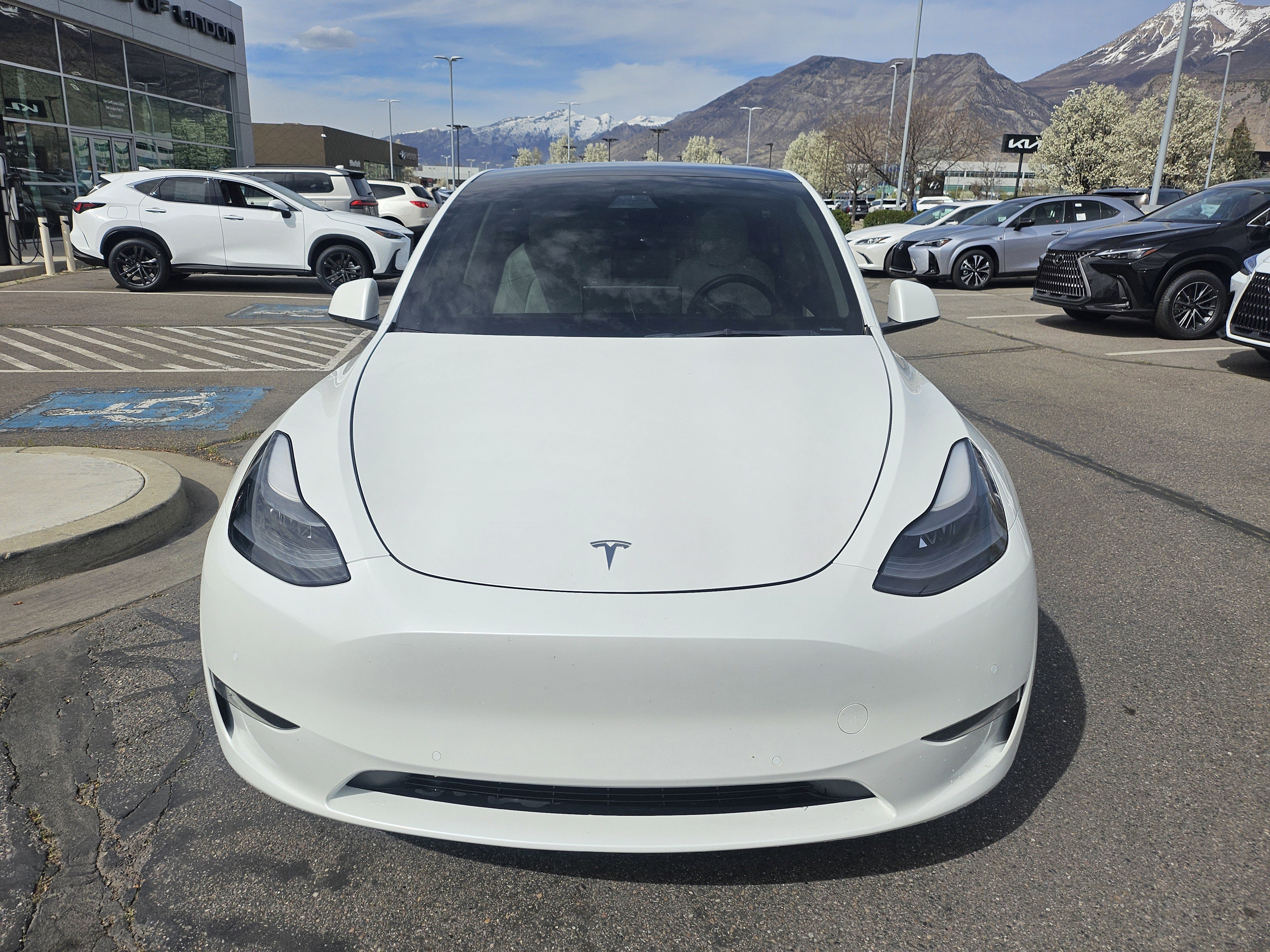Used 2022 Tesla Model Y Performance with VIN 7SAYGDEF9NF399585 for sale in Lindon, UT