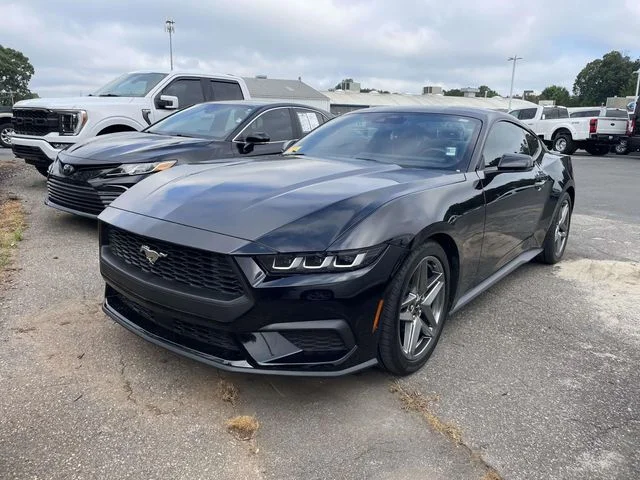 Used 2024 Shadow Black Ford EcoBoost Premium image 3