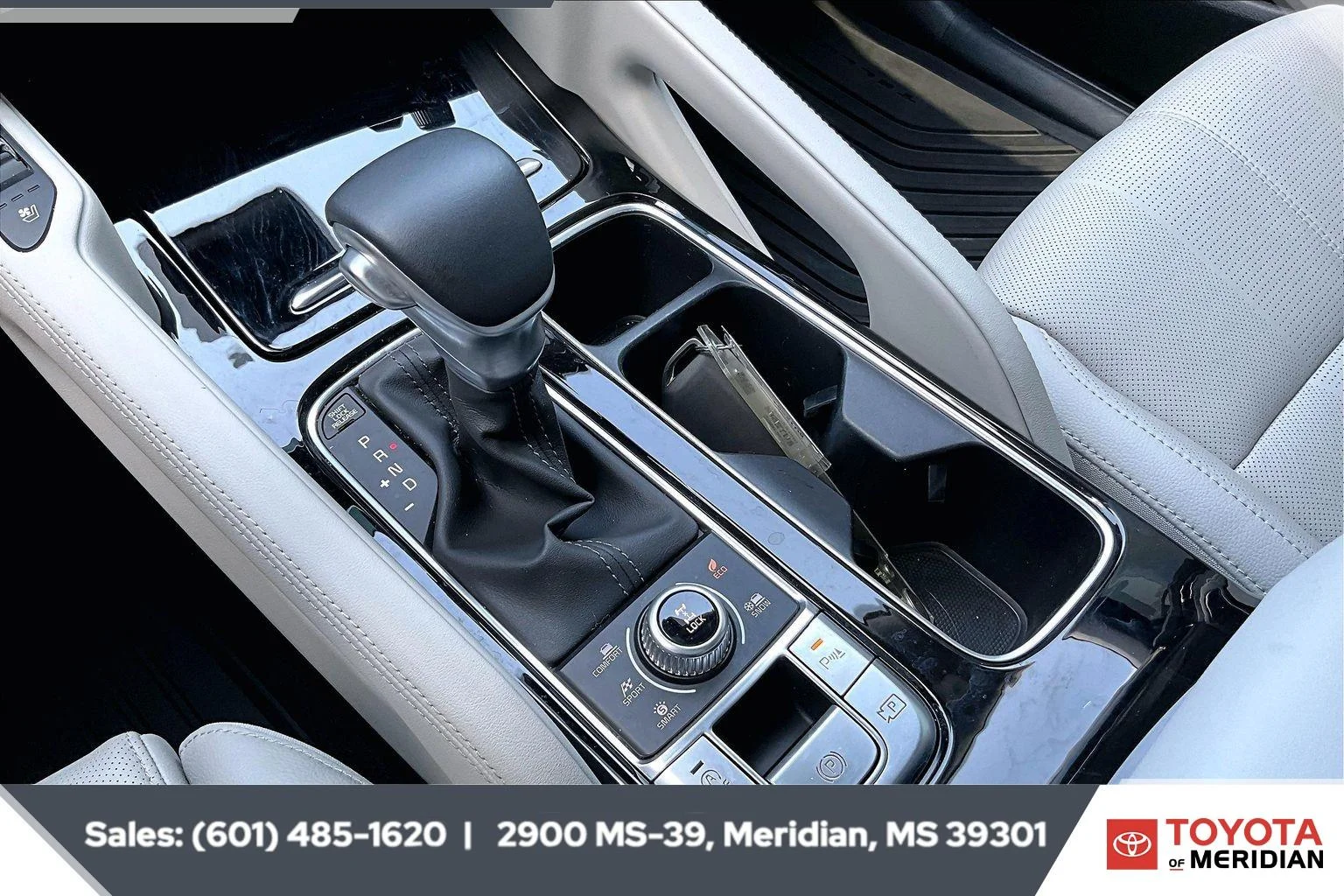 Used 2025 Panthera Metal Kia SX image 24