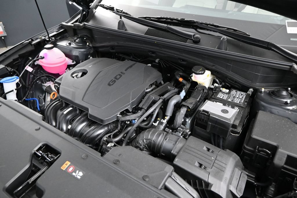 New 2026 Panthera Metal Kia SX Prestige image 22