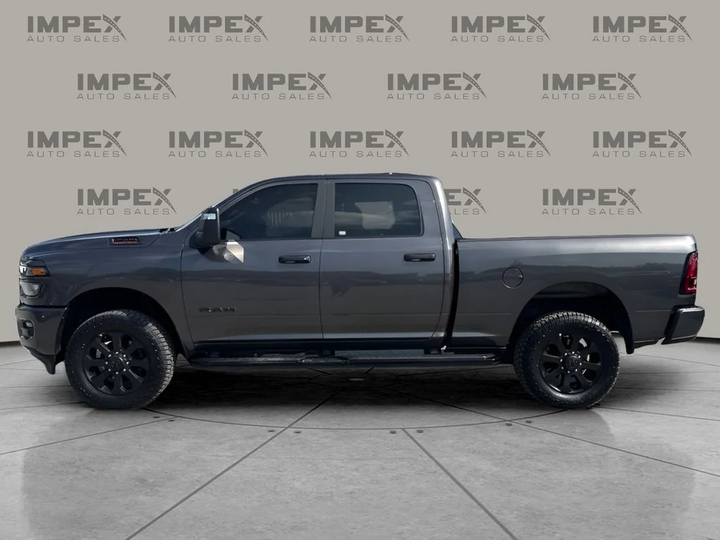 Used 2025 Gray Ram Big Horn image 2