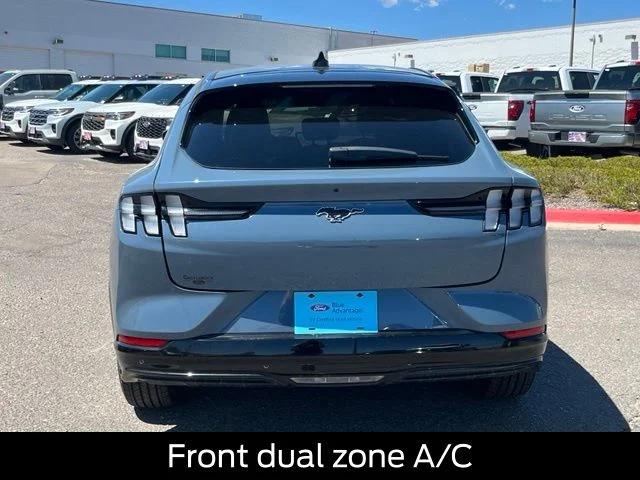 Used 2024 Blue Ford Premium image 4
