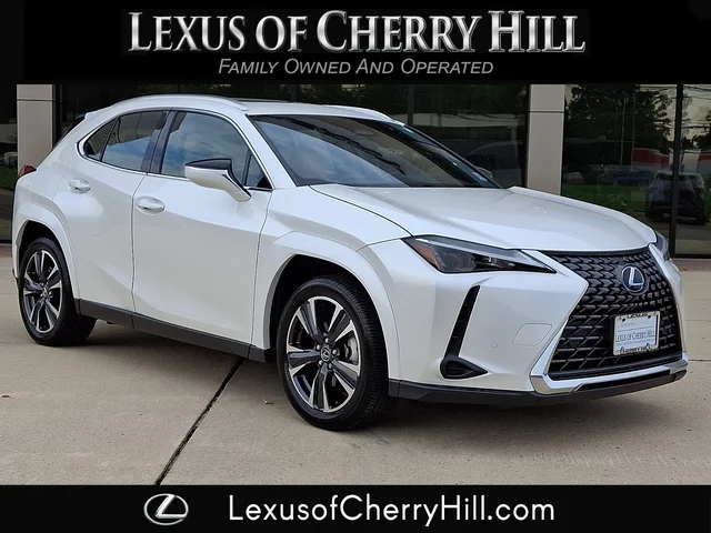 2025 Lexus UX 300h 