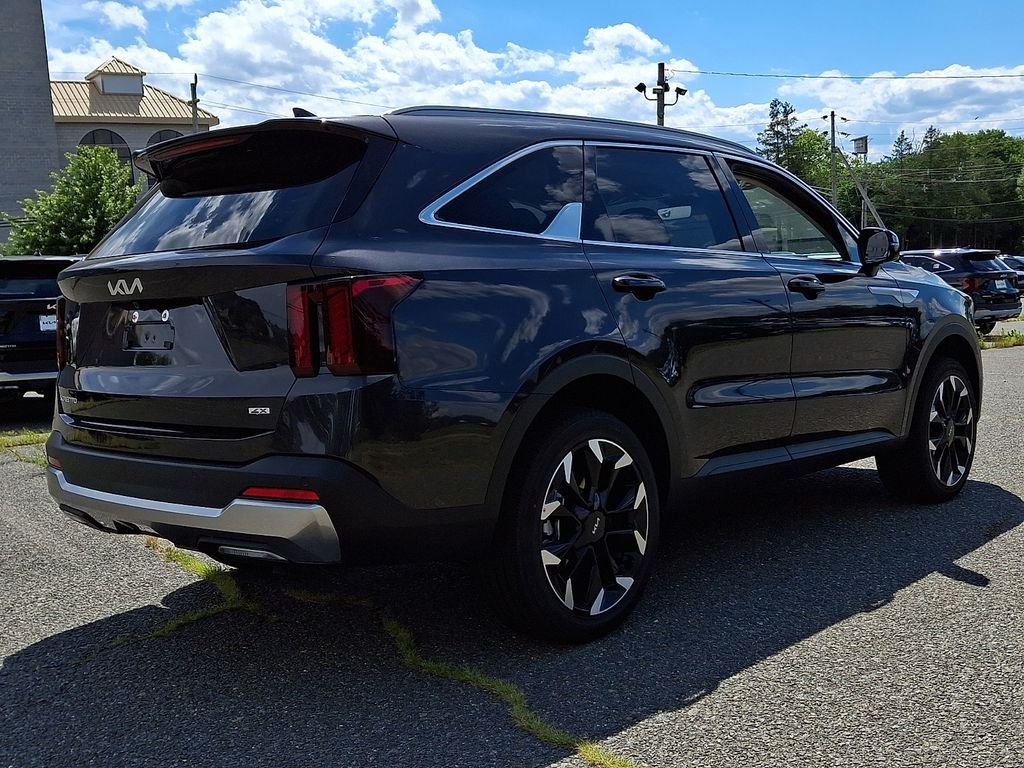 New 2026 Panthera Metal Kia EX image 4
