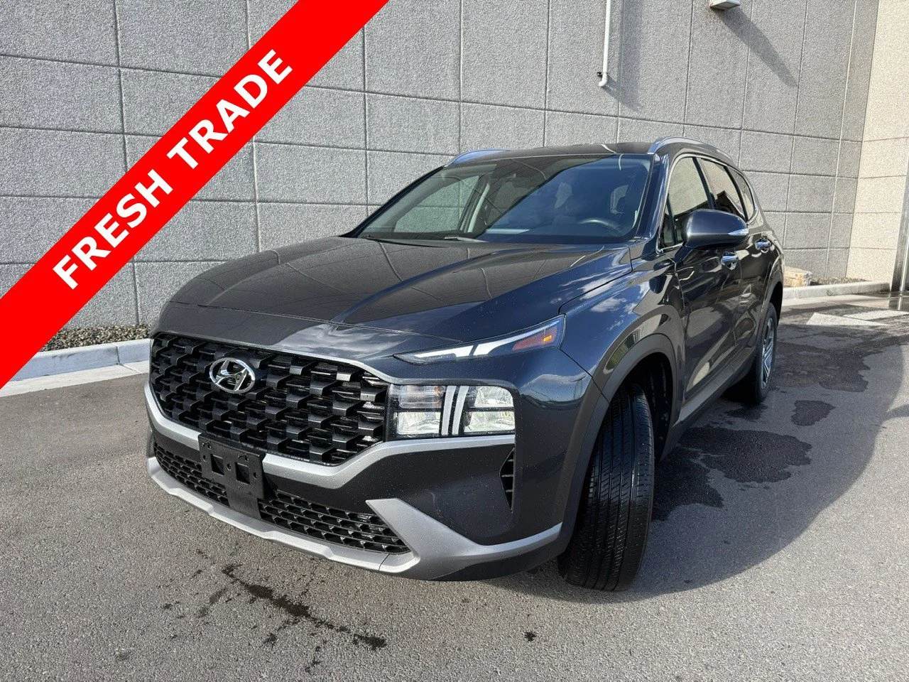 2023 Hyundai Santa Fe SEL 2.5 AWD's photo