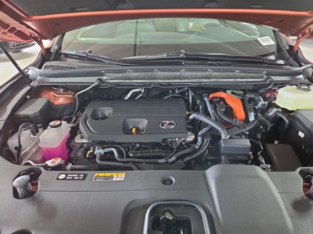 New 2026 Copper Crest Lexus PREMIUM image 26