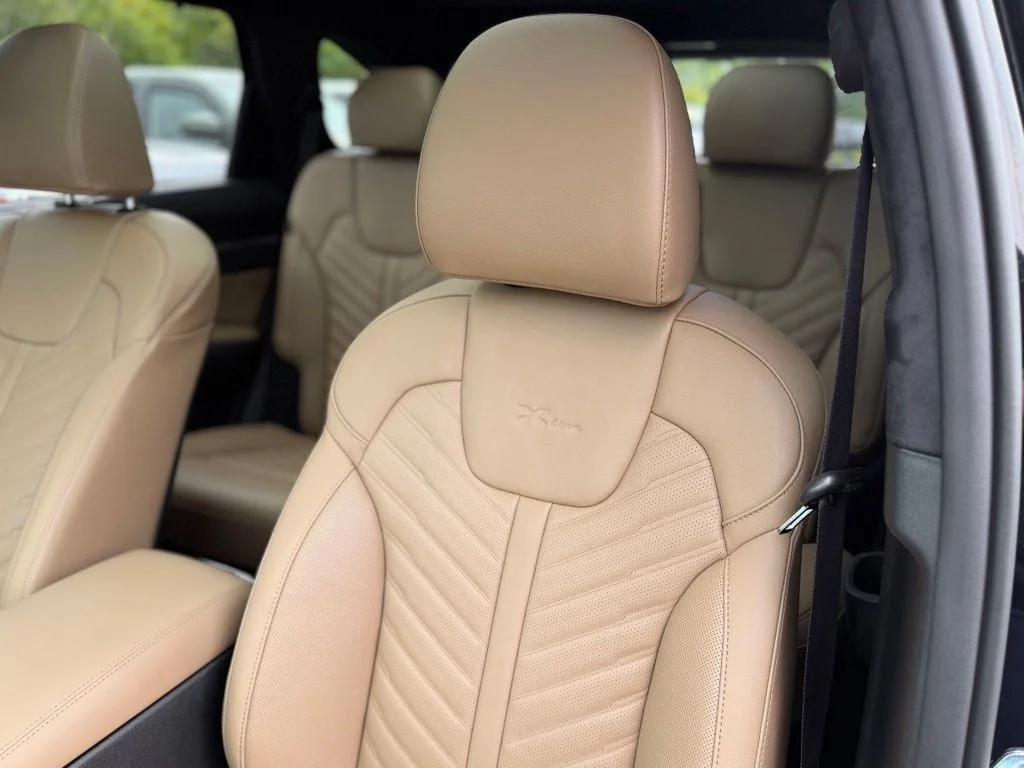 Used 2025 Black Kia X-Line SX Prestige image 15