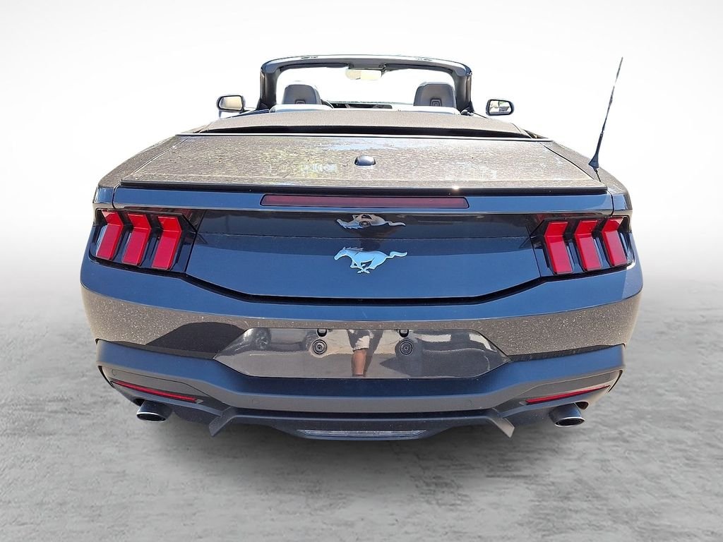 Used 2024 Gray Ford EcoBoost Premium image 5