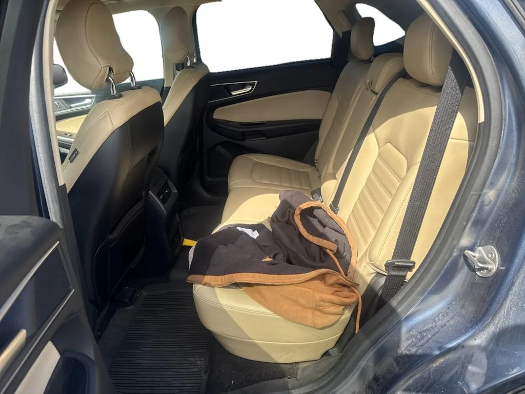 Used 2019 Blue Metallic Ford SEL image 5