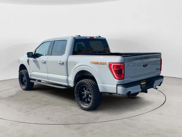 Used 2023 White Ford Tremor image 8