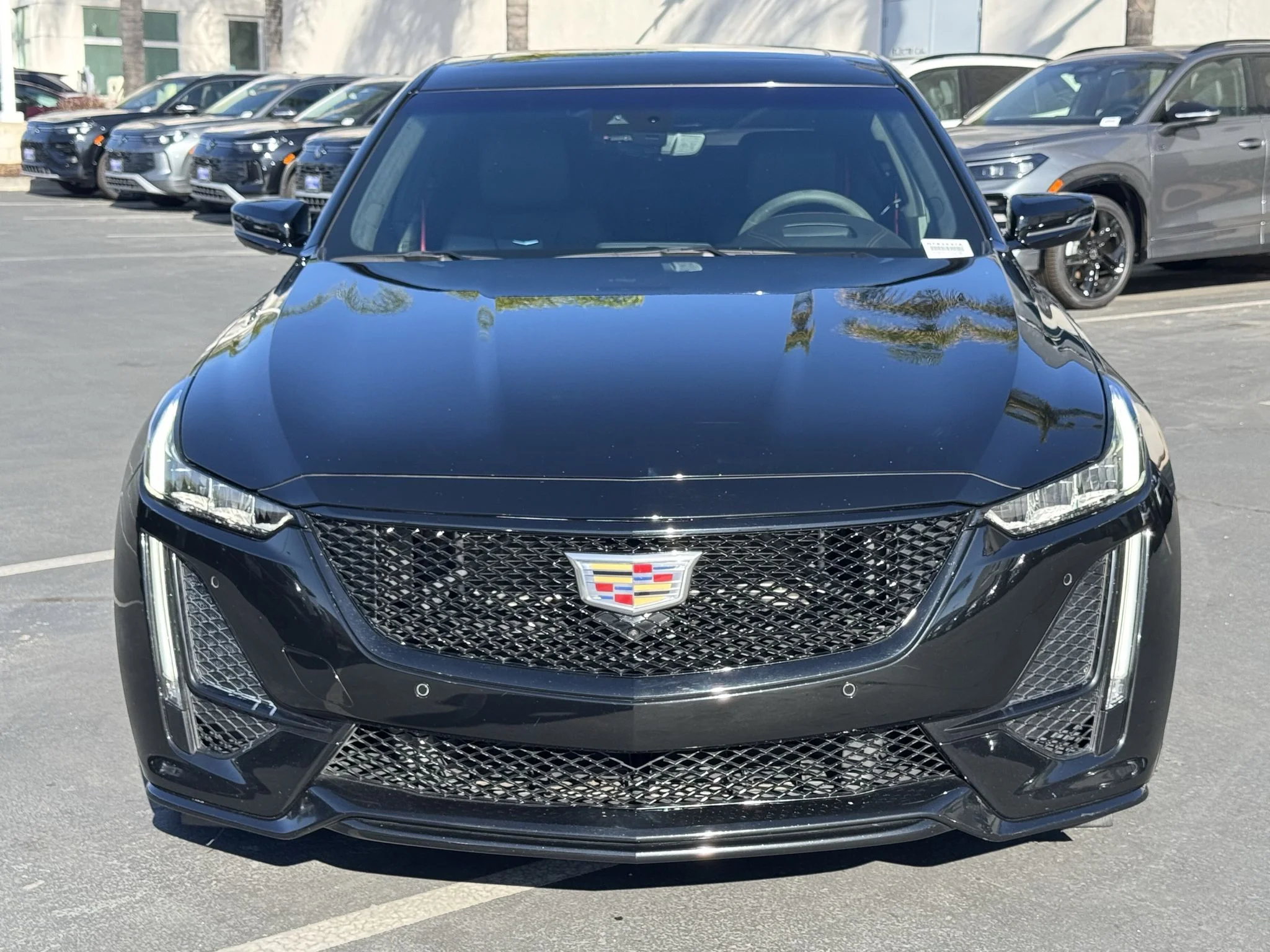 Used 2023 BLACK RAVEN Cadillac V-Series image 2