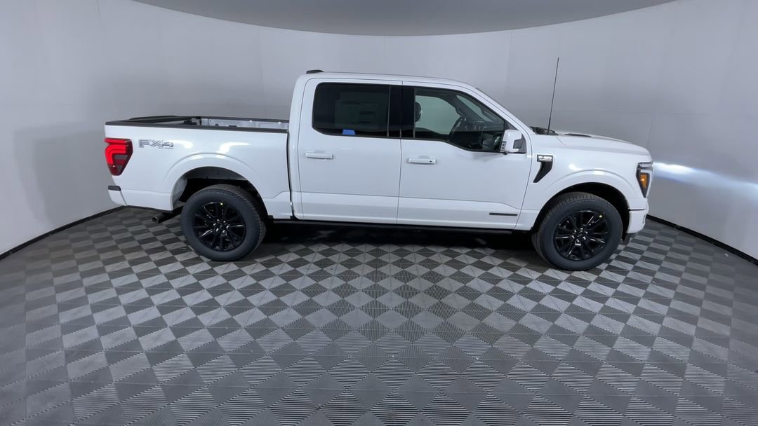2025 Ford F-150 Platinum - Photo 9