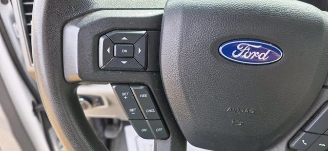 Used 2019 White Ford XL image 18